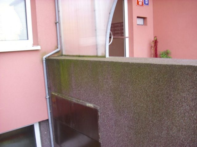 homeandgarden.cz_ars_cz_nahledovy
