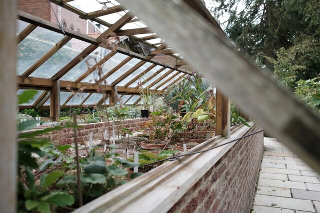 greenhouse-6577750_960_720