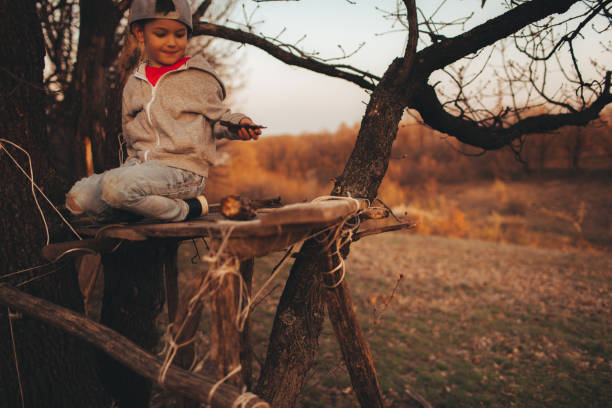 istockphoto-950447064-612x612
