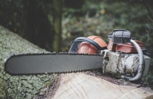 Jak správně vybrat motorovou pilu