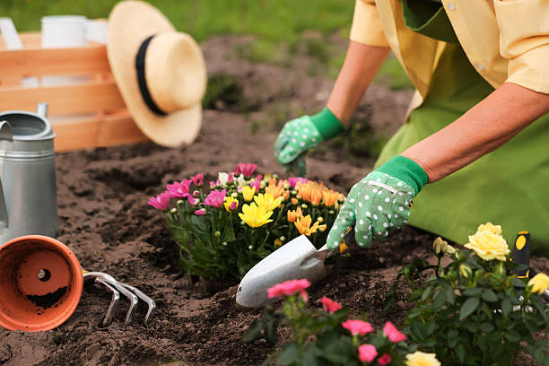 istockphoto-2239448707-612x612